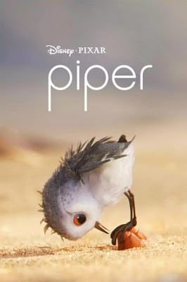 Piper (2016) แอนิเมชั่นสั้น ฉายก่อน FINDING DORY