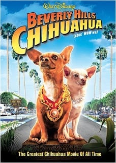 Beverly Hills Chihuahua 1 (2008) คุณหมาไฮโซ โกบ้านนอก ภาค 1