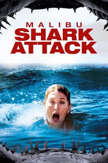 Malibu Shark Attack (2009) โคตรเพชฌฆาต ยกฝูงบุกเมือง