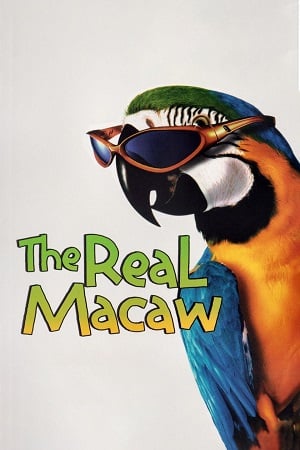 The Real Macaw (1998) จิ๊จ๊ะมาคอร์ ล่าสมบัติโจรสลัด