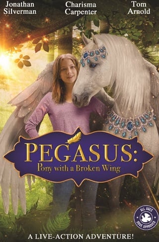 Pegasus Pony with a Broken Wing (2019) ม้าเพกาซัสที่มีปีกหัก