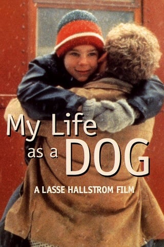 My Life as a Dog (1985) ชีวิตของฉันในฐานะสุนัข