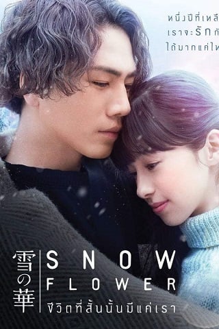 Snow Flower (Yuki no Hana) (2019) ชีวิตที่สั้นนั้นมีแค่เรา