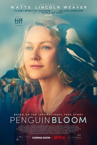 Penguin Bloom | Netflix (2020) เพนกวิน บลูม