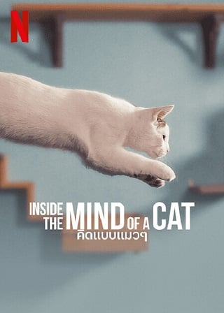 Inside the Mind of a Cat | Netflix (2022) คิดแบบแมวๆ