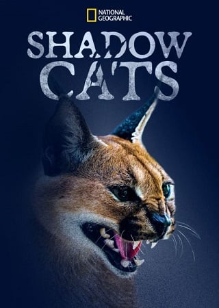 Shadow Cats (2022) แมวแห่งเงา